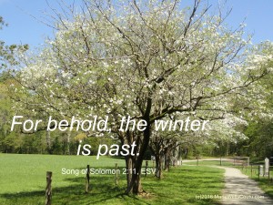 For behold, the winter is past. Song of Solomon 2:11