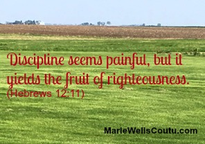 Discipline seems painful, but it yields the fruit of righteousness.