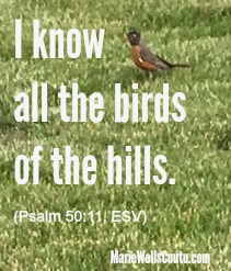 I know all the birds of the hills. Psalm 50:11
