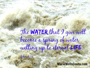 The water that I give will become a spring welling up to eternal life. John 4:14